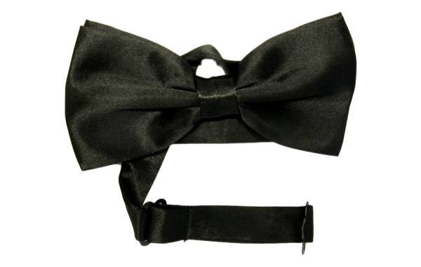 Enfärgad stilren svart fluga