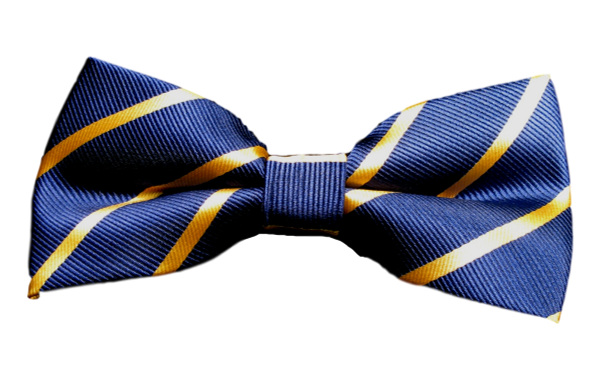 Fluga Blå med gula ränder