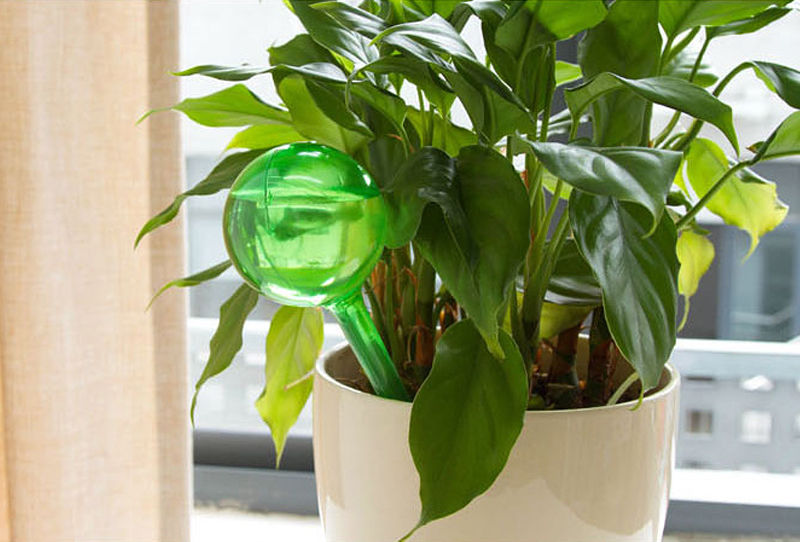 smart självbevattning till kruka