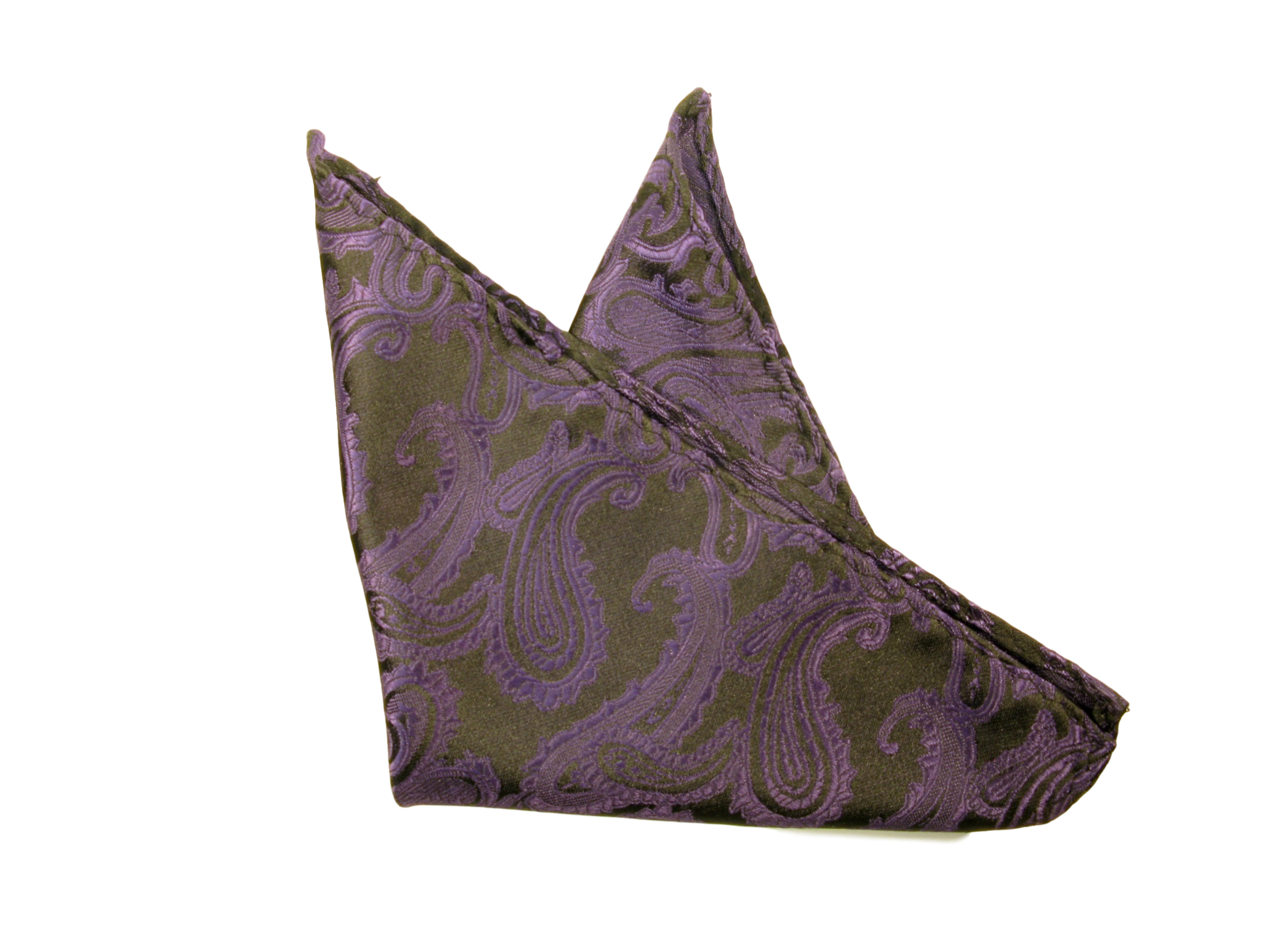 Näsduk Paisley