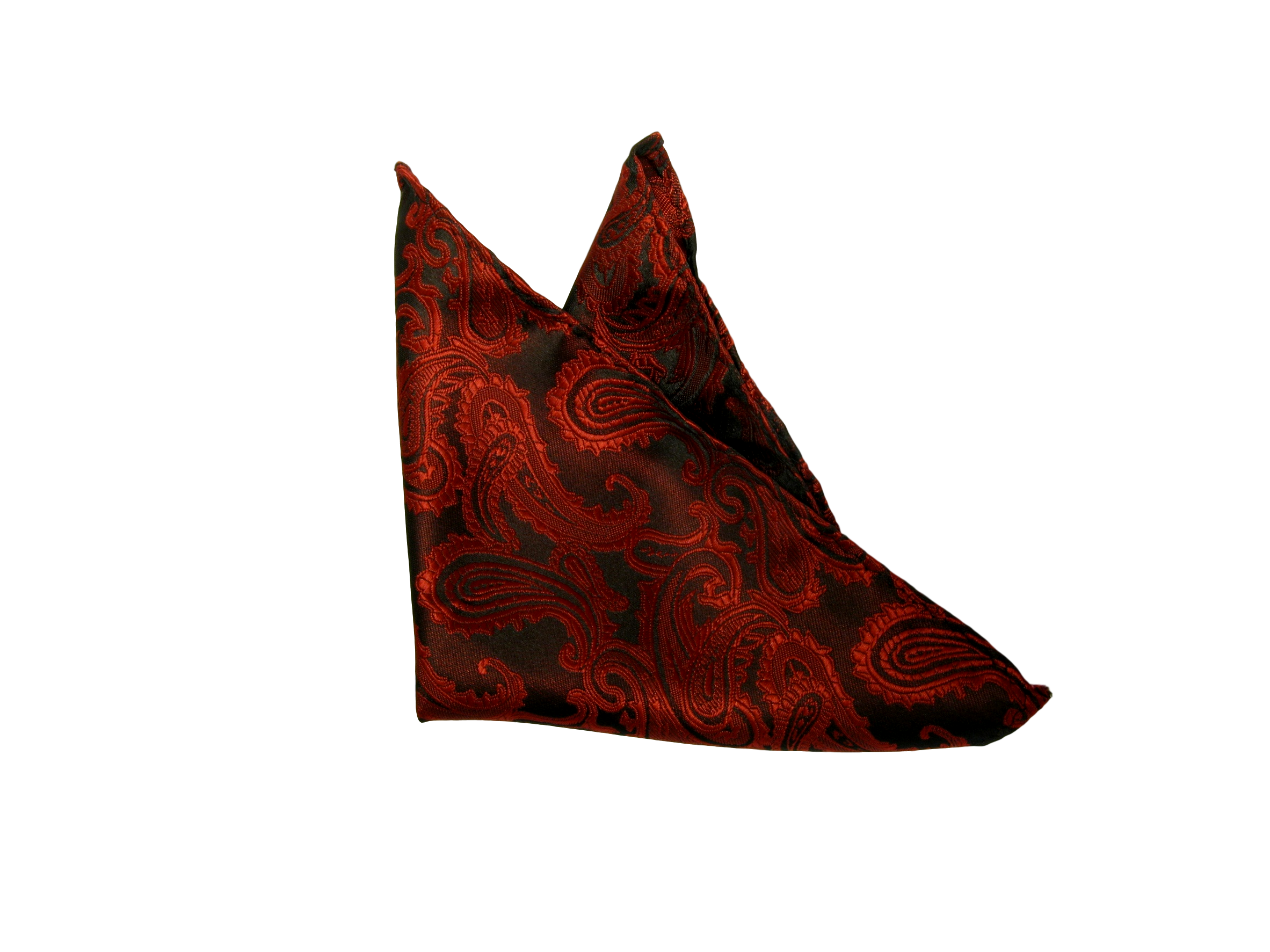 Näsduk Paisley